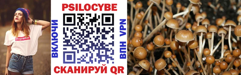 где купить наркотик  Чердынь  Галлюциногенные грибы MAGIC MUSHROOMS 